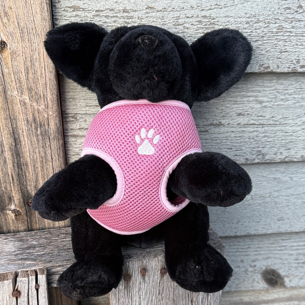 Top Paw XS Harness